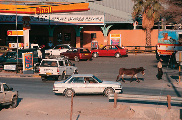 Donkey in the Traffic. Maun. Ian Michler