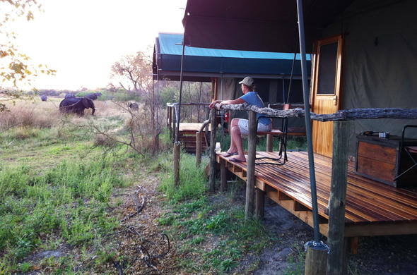 Observing a nearby elephant from private game viewing deck.