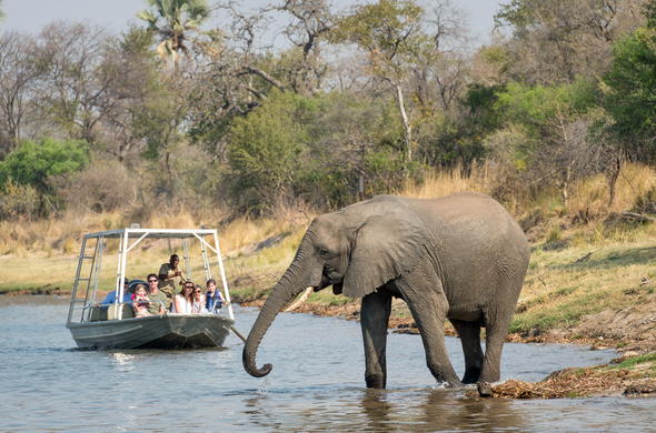 Boast safari on the Zambezi River.