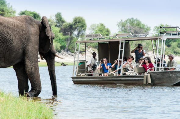 Boat safari on CHobe River with Zambezi Quuen