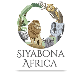 http://www.botswana.co.za
