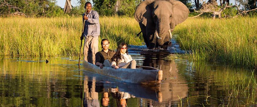 Honeymoon safari in Botswana.