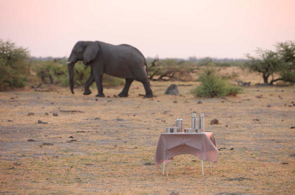 Savuti Botswana - Savute Safari