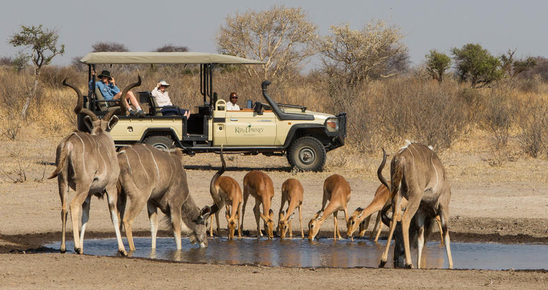 kalahari botswana safari